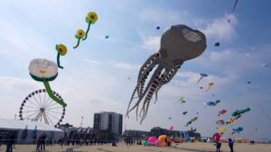 Cerf-volant à Berck-sur-Mer