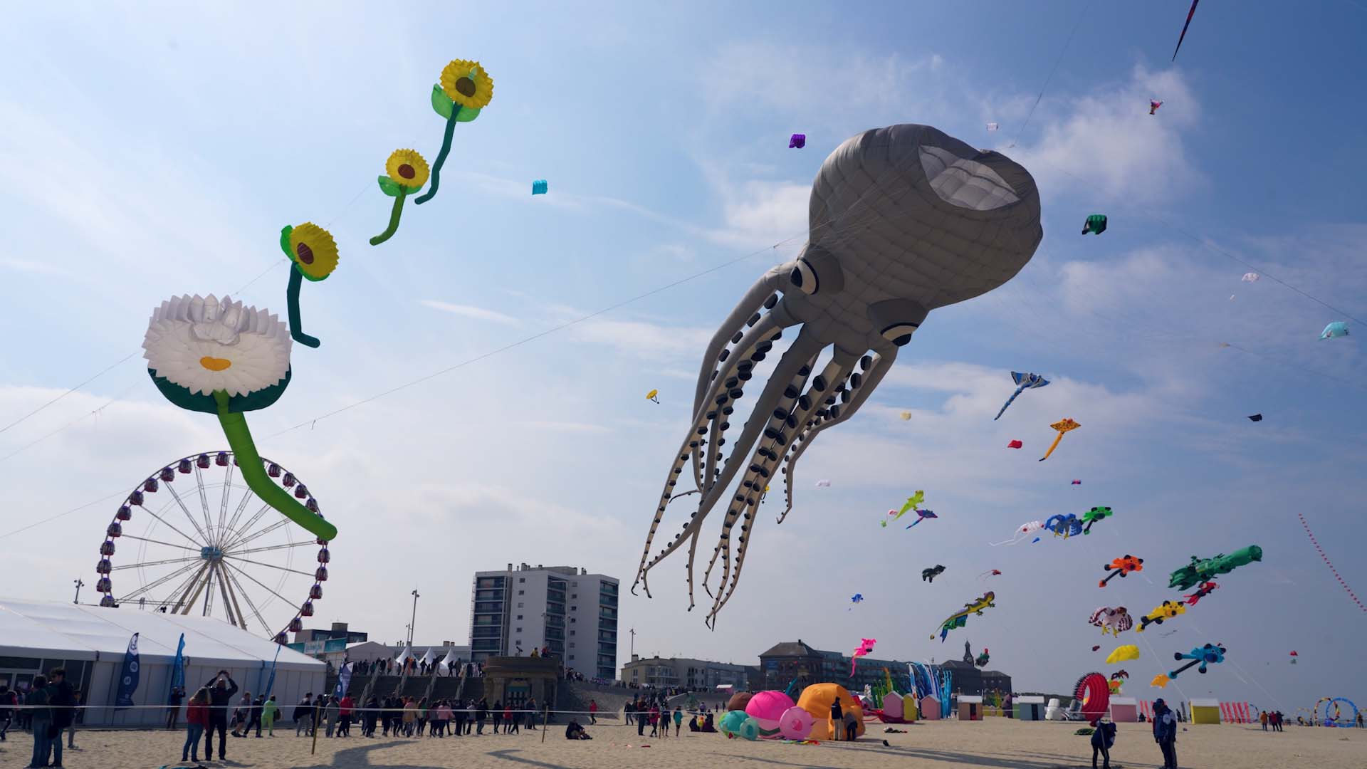 Faire du cerf-volant à Berck-sur-Mer - IMEARTH