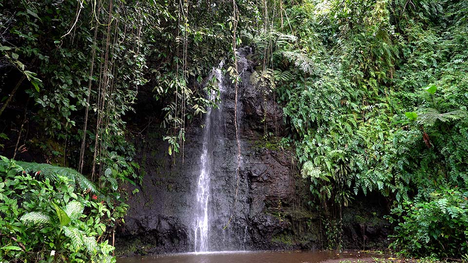 Cascade et chute d'eau