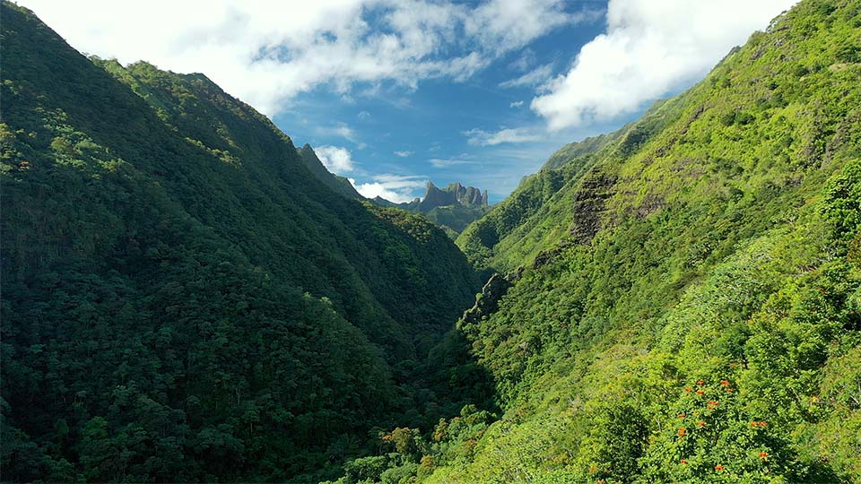 Tahiti en Polynésie française