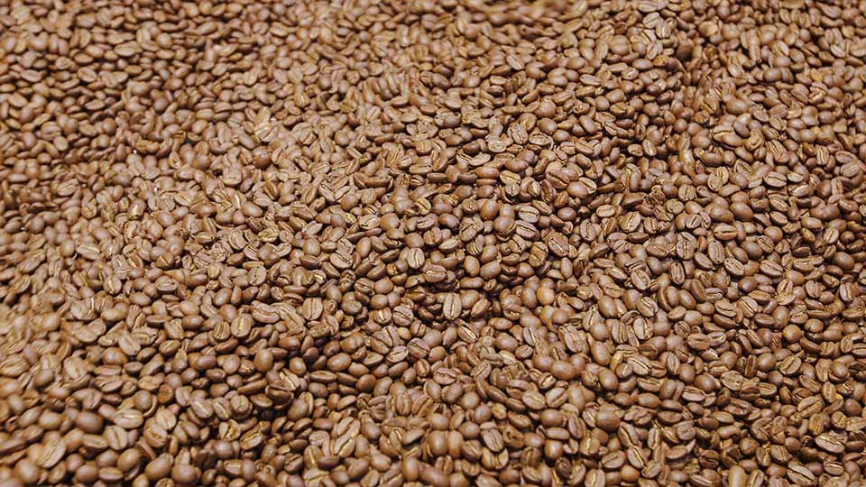 grains de café