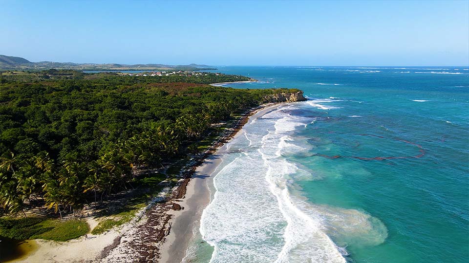 Des vagues de surf sur la mer