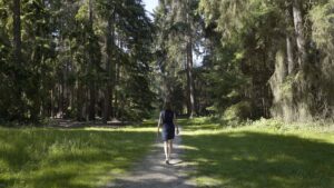 arboretum de Tervuren