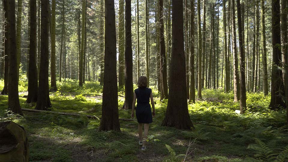 Dans la forêt de l'arboretum de Tervuren