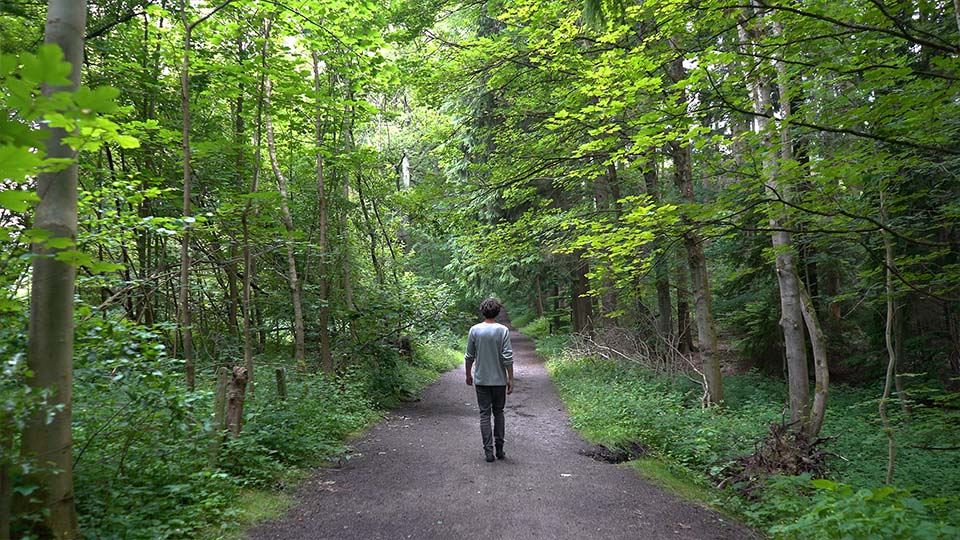 promenade dans les bois