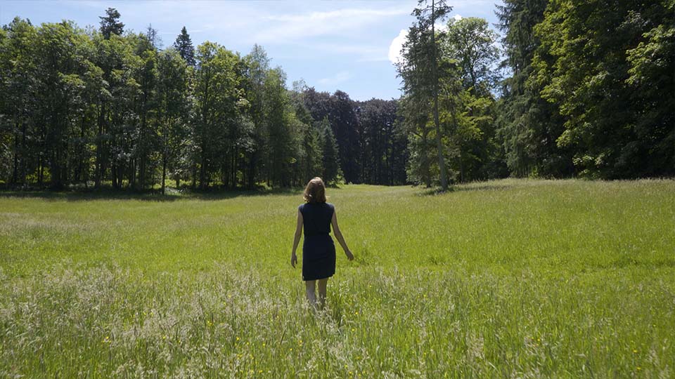 paysage de l'arboretum