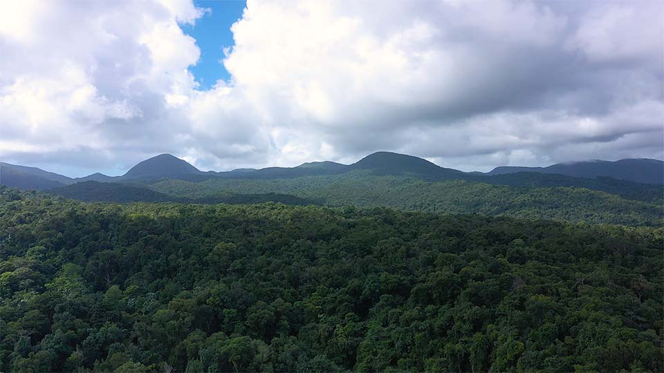 Terre de Guadeloupe